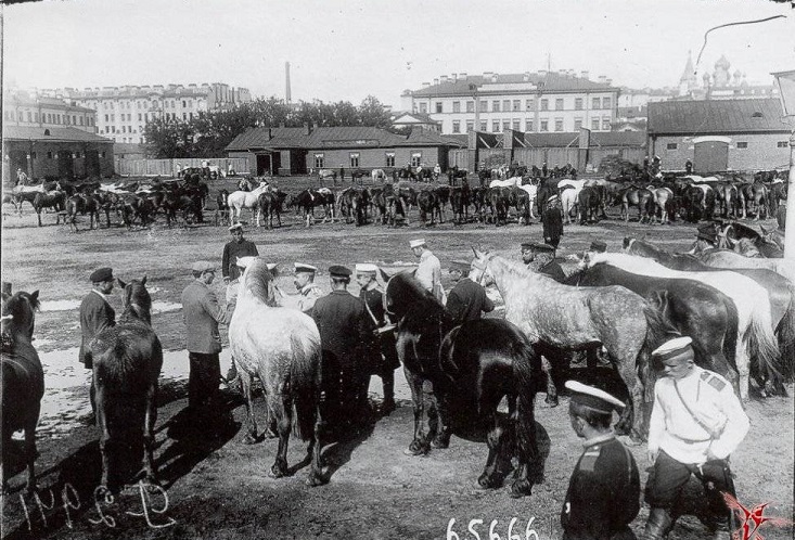 Зачем нужно было бедное содержание офицерства в царское время - на примере Маннергейма 