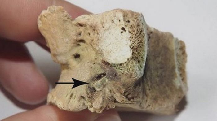 10 малоизвестных фактов о древних войнах, которые позволили учёным сделать любопытные открытия