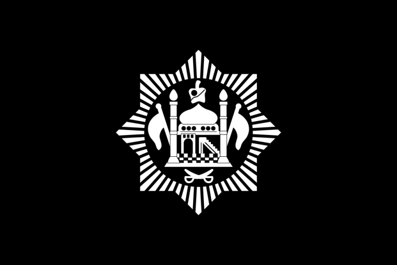 Установление Советской Россией дипломатических отношений с Афганистаном