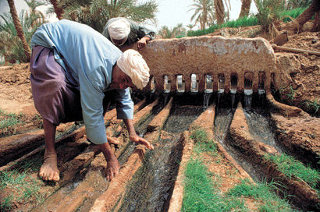 Древнейшая технология - qanat