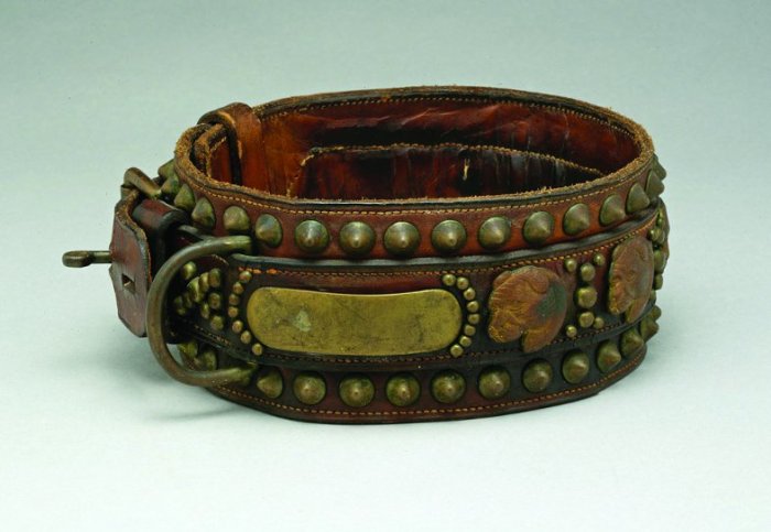 Как изменялись собачьи ошейники от Древнего Египта до наших дней: Шипы, замки и бриллианты