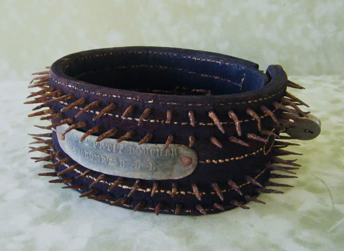 Как изменялись собачьи ошейники от Древнего Египта до наших дней: Шипы, замки и бриллианты