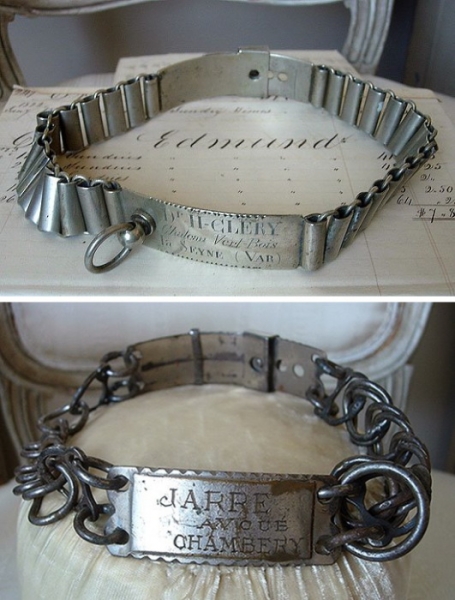 Как изменялись собачьи ошейники от Древнего Египта до наших дней: Шипы, замки и бриллианты