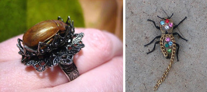 Мода на грани безумия: Как в XIX веке дамы украшали себя чучелами птиц и мёртвыми насекомыми