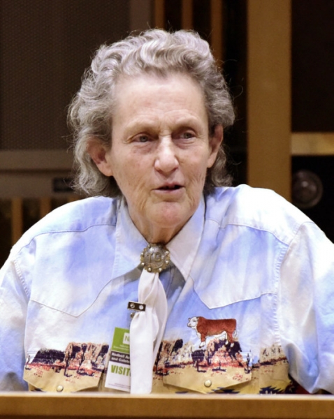 Как женщина-аутист изобрела «обнимательную» машинку и стала профессором