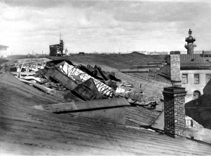 Как создавался крупнейший в России Зоологический музей и чем сегодня гордятся его сотрудники