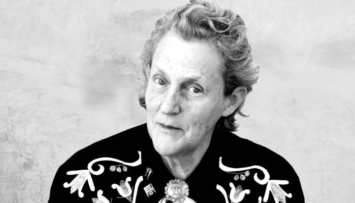 Как женщина-аутист изобрела «обнимательную» машинку и стала профессором