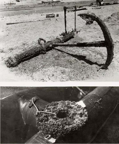 Свиной остров, где побывал Степан Разин: Неразгаданная тайна Каспия, о которой спорят и сегодня