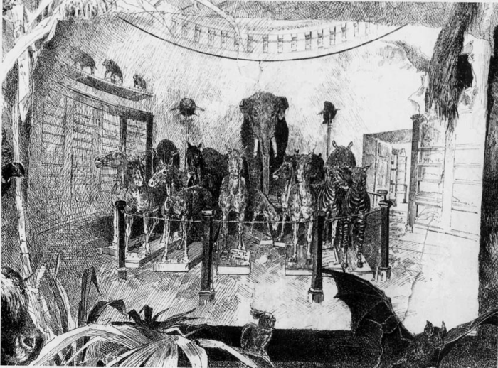 Как создавался крупнейший в России Зоологический музей и чем сегодня гордятся его сотрудники