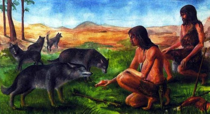 Археологи узнали, когда и для чего древние люди впервые приручили собак