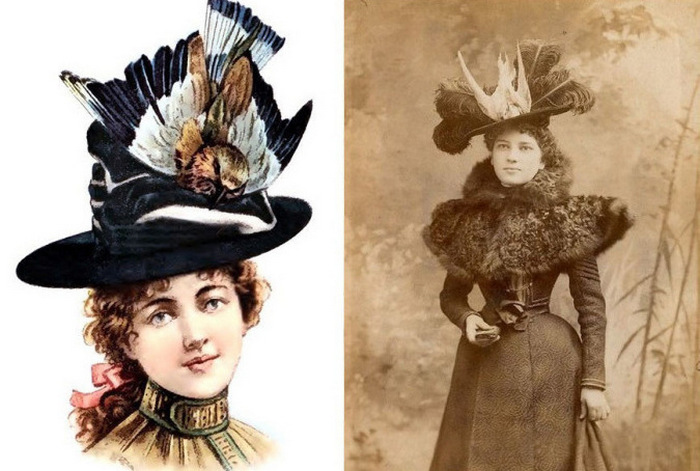 Мода на грани безумия: Как в XIX веке дамы украшали себя чучелами птиц и мёртвыми насекомыми