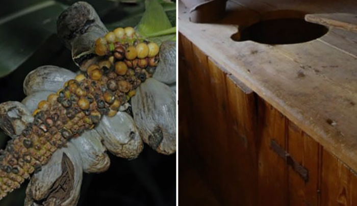 10 странных проблем, которые не давали спокойно жить древним людям