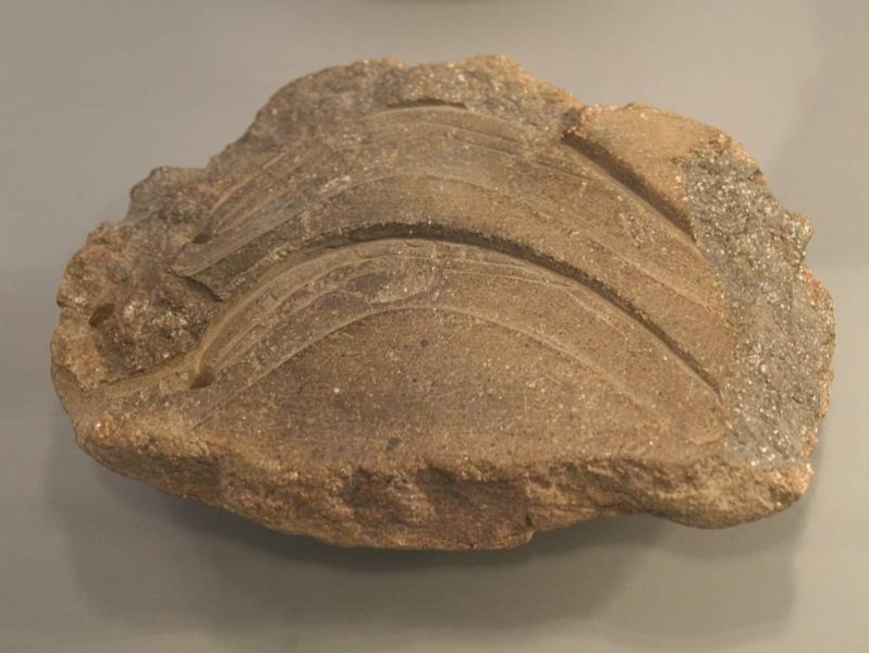 Диск из Небры: звёздный компас бронзового века (часть 3)