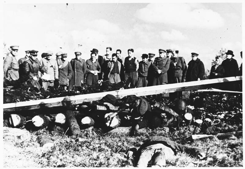 "Великая чистка": борьба с эстонскими "лесными братьями"