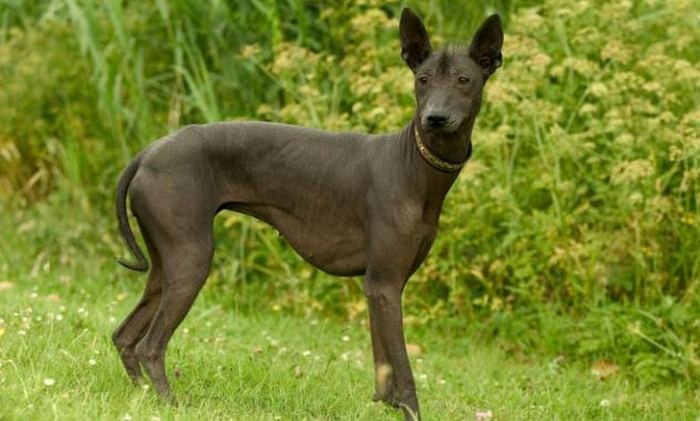 10 странных проблем, которые не давали спокойно жить древним людям