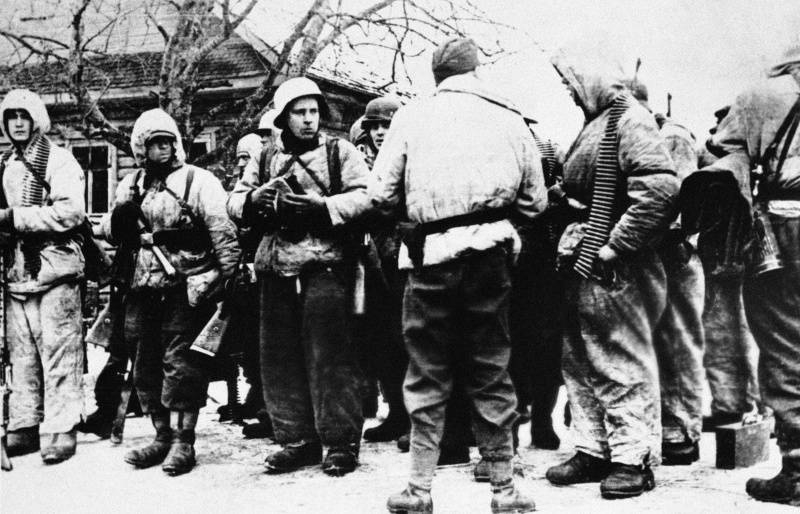 "Великая чистка": борьба с эстонскими "лесными братьями"