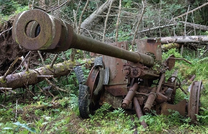 Как вчерашние враги финны и русские объединились против немцев