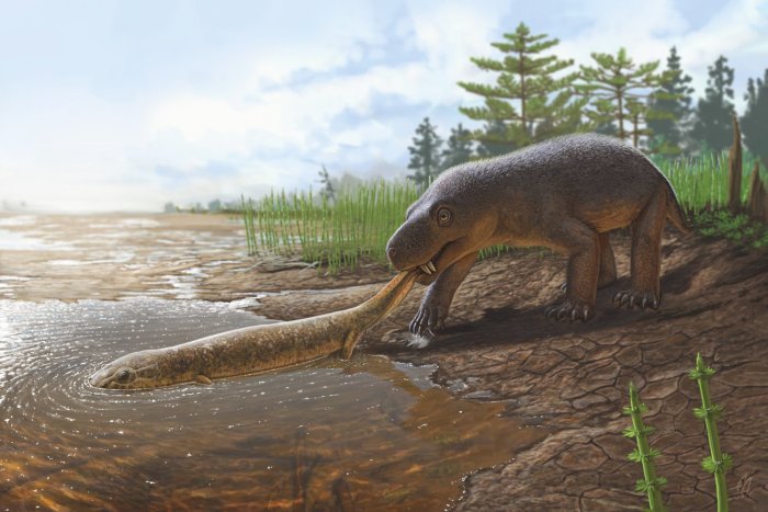 Горыныч существовал: Как выглядел звероящер, останки которого обнаружены в России