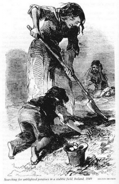 An Gorta Mor. Великий голод в Ирландии