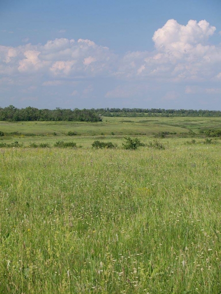 Монголы на Руси. Первая встреча