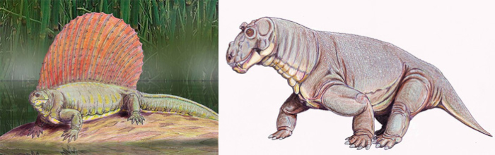 Горыныч существовал: Как выглядел звероящер, останки которого обнаружены в России