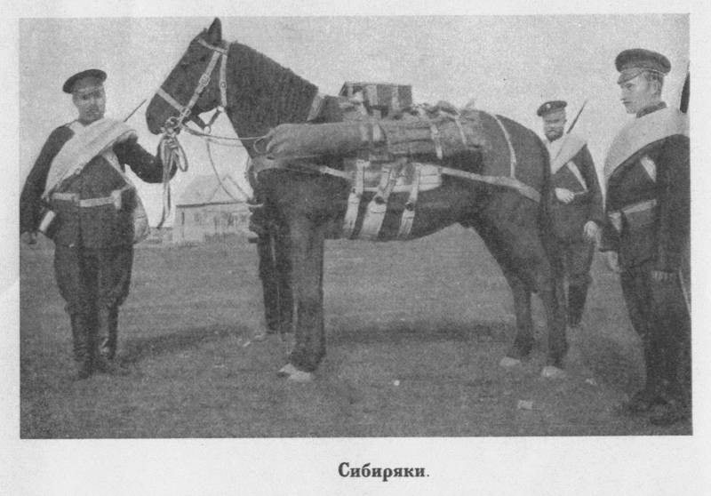 «Роты рвались вперёд». Из боевого пути сибирских стрелков Великой войны