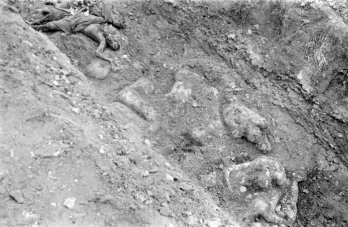 Майданек как он есть: тринадцать фактов