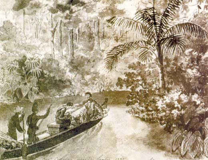 Алмазы, индейцы и русский след: как открывали Бразилию