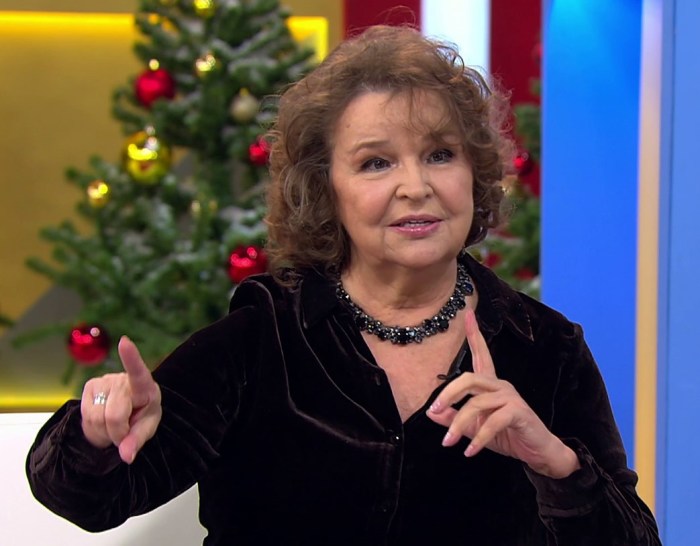 Что готовят к новогоднему столу знаменитости российского шоу-бизнеса