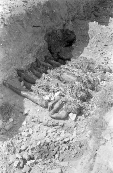 Майданек как он есть: тринадцать фактов