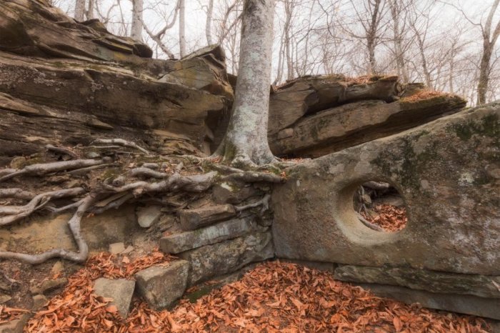 Древние замки на территории России, о которых не рассказывают путеводители