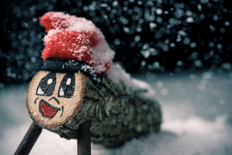 Кто приходит в Рождество: 9 необычных сказочных созданий