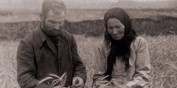 Зачем на самом деле Сталин ввёл указ о защите социалистической собственности, и почему позже от него отказались