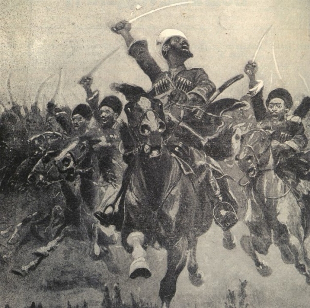 Что такое «Дикая дивизия»?