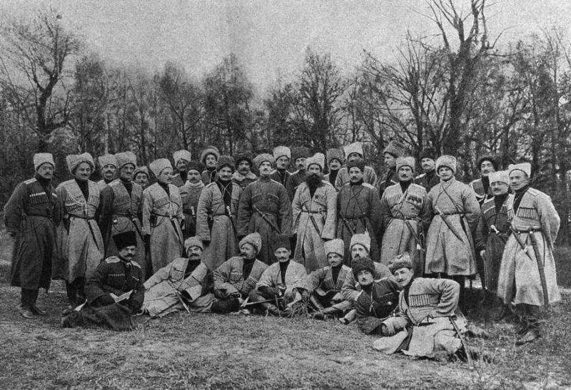 Что такое «Дикая дивизия»?