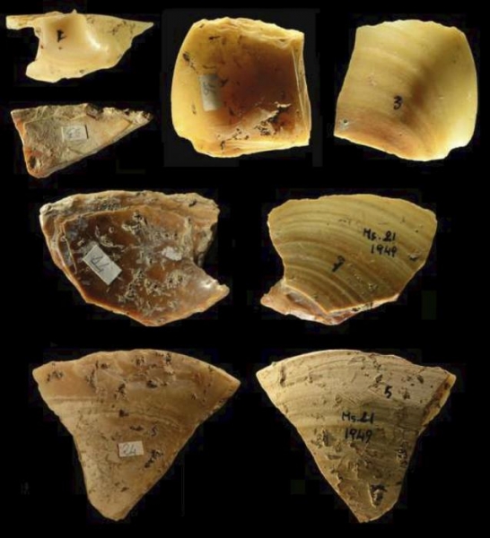Самые древние дайверы: Учёные выяснили, для чего неандертальцы ныряли на большие глубины 