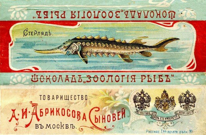Алексей Абрикосов: «король шоколада» на службе у российского императора