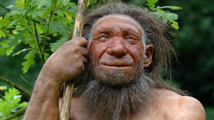 Самые древние дайверы: Учёные выяснили, для чего неандертальцы ныряли на большие глубины 