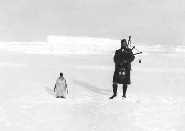 Серенада для пингвина: история одного фото из Антарктиды