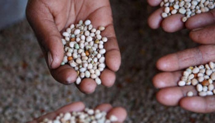 Парижские катакомбы, ватиканский секретный архив и другие нелегальные библиотеки, которые можно посетить сегодня