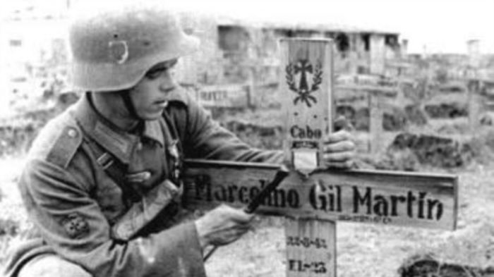 Кто входил в «Голубую дивизию», и почему она выступала против Советского Союза