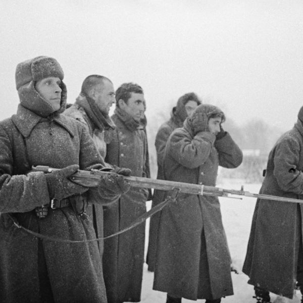 Кто входил в «Голубую дивизию», и почему она выступала против Советского Союза