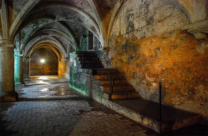 Существует ли на самом деле библиотека Ивана Грозного: Таинственная Либерия, которую ищут уже 400 лет