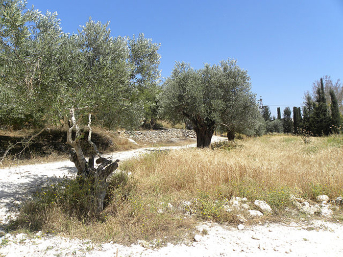 Что нового узнали учёные об Иисусе Христе из расшиврованных надписей на знаменитой Назаретской надгробной плите