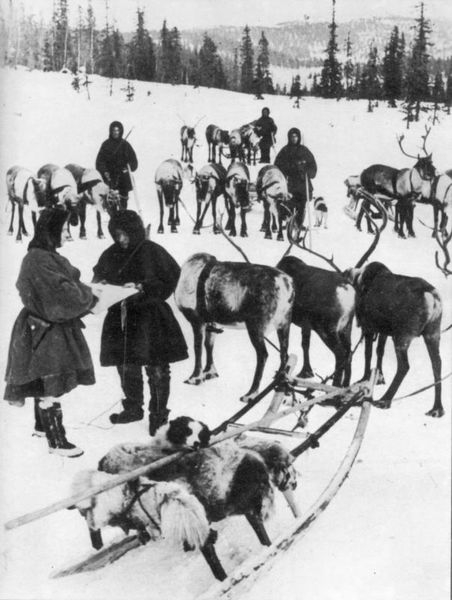 На оленях против Гитлера