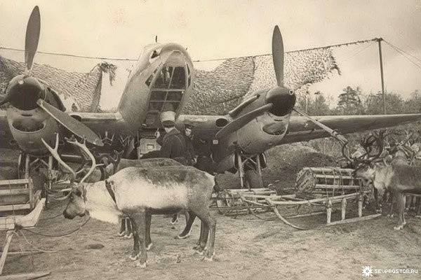 На оленях против Гитлера