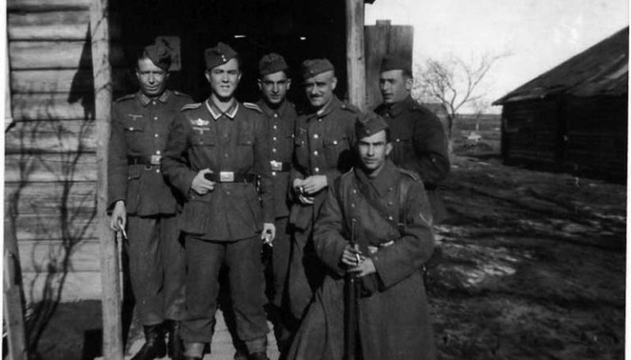 Кто входил в «Голубую дивизию», и почему она выступала против Советского Союза