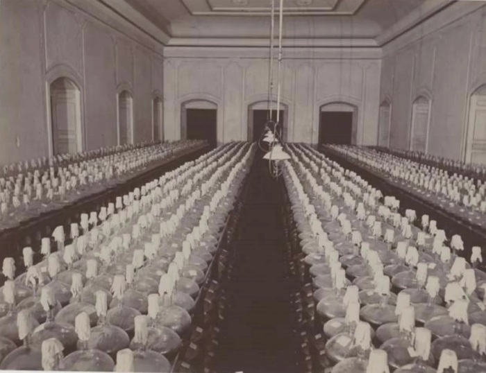 Как одесский доктор Хавкин избавлял мир от холеры и чумы: Самый неизвестный человек России