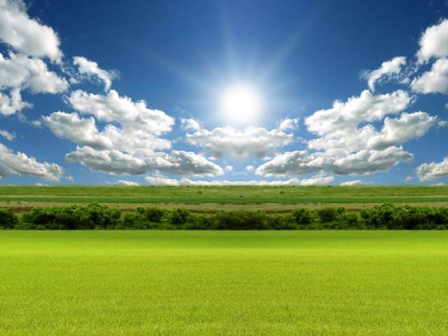 Краткий курс истории. День окружающей среды