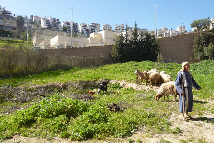 Что нового узнали учёные об Иисусе Христе из расшиврованных надписей на знаменитой Назаретской надгробной плите